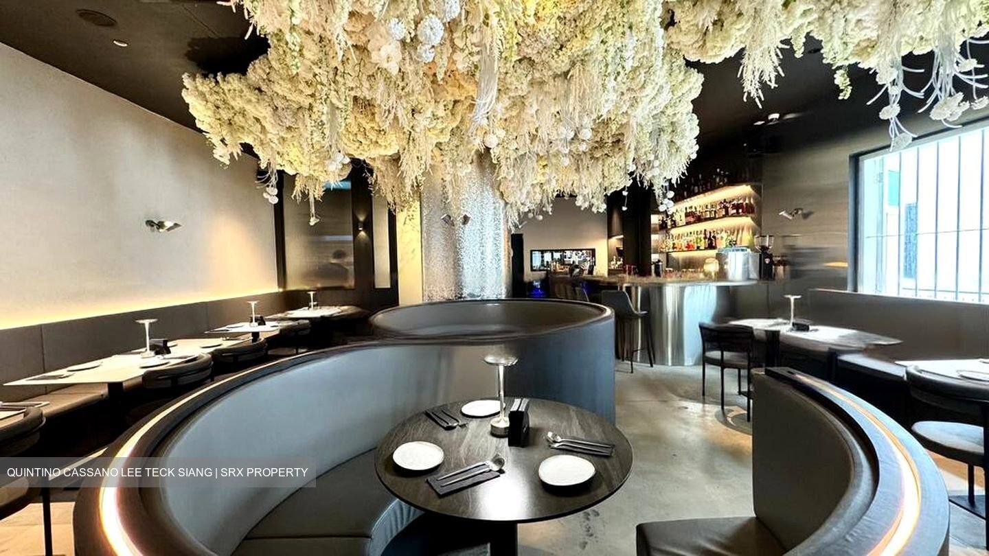 Outram Loft (D3), Shop House #456710021